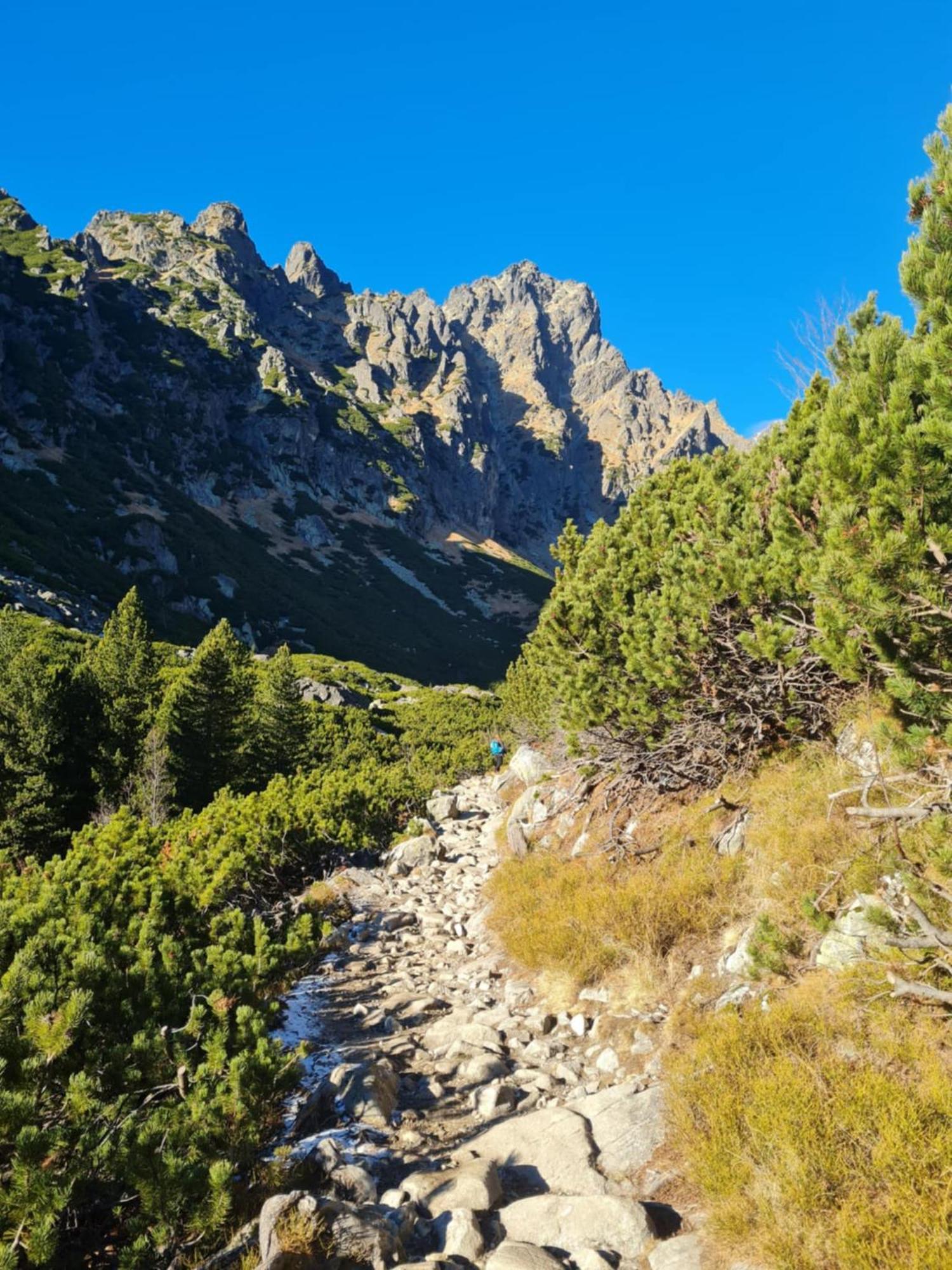 Apartman Horny Smokovec Vysoké Tatry Exteriör bild